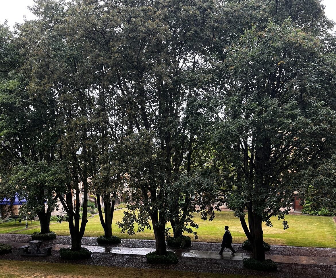 Graduation Cambridge